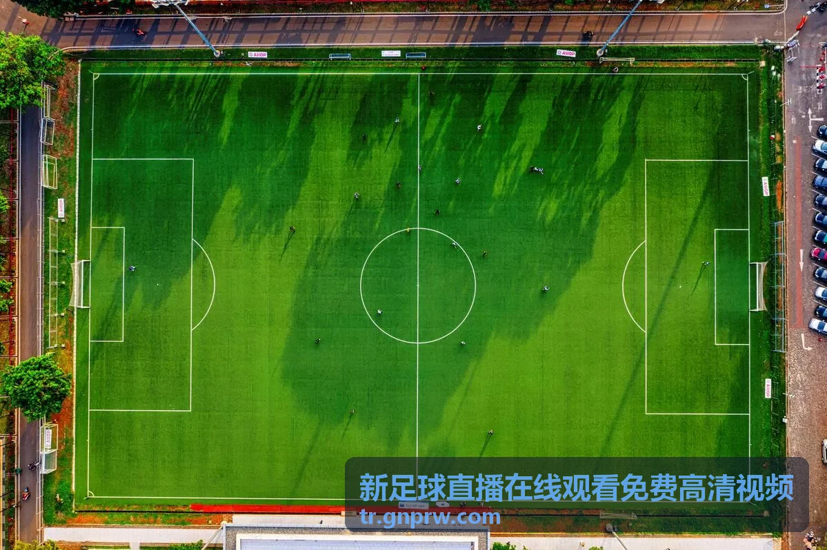 英超联赛-雨燕免费直播在线观看直播足球